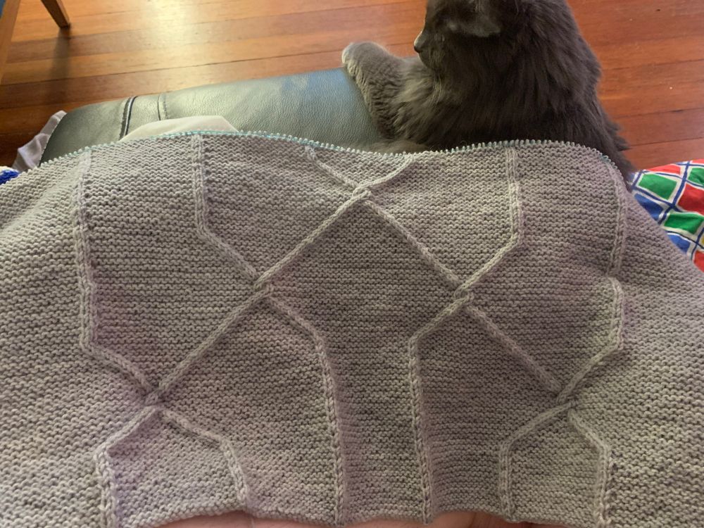 A shawl in progress knitted in gray yarn with a cable motif over garter stitch. Shawl is draped over a cat