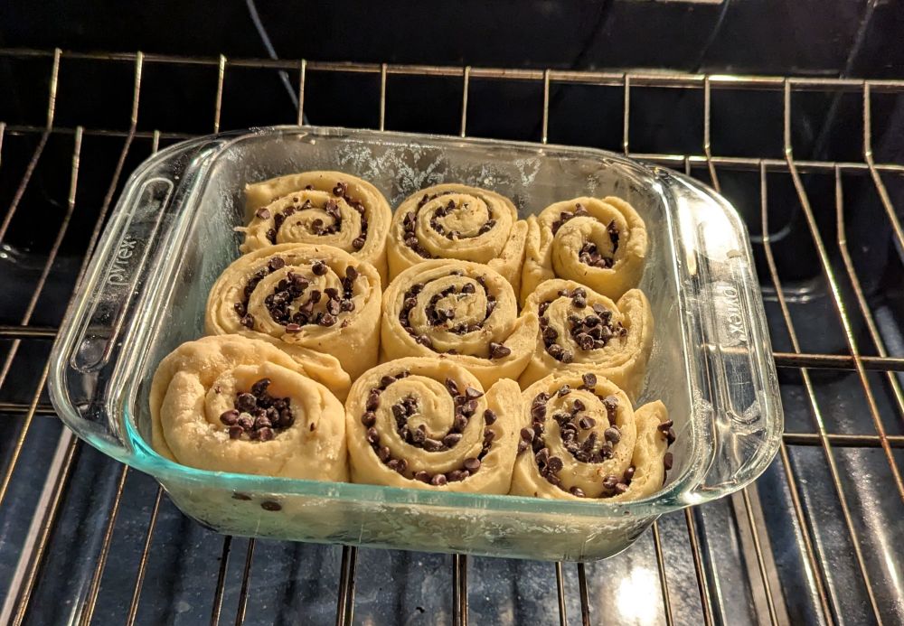 A baking dish with Italian Sweet Rolls doing an oven rise. 

I hope they turn out good. Also I still need to clean my oven 