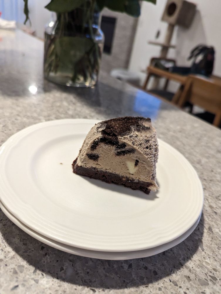 Slice of homemade Oreo cookie ice cream cake, with a fudge brownie base. It was delicious! 