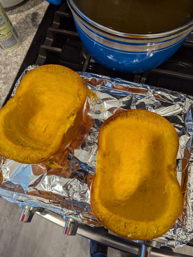 A freshly roasted, and very HOT, sugar pumpkin. Second degree burns (at minimum) if you get this on you. 