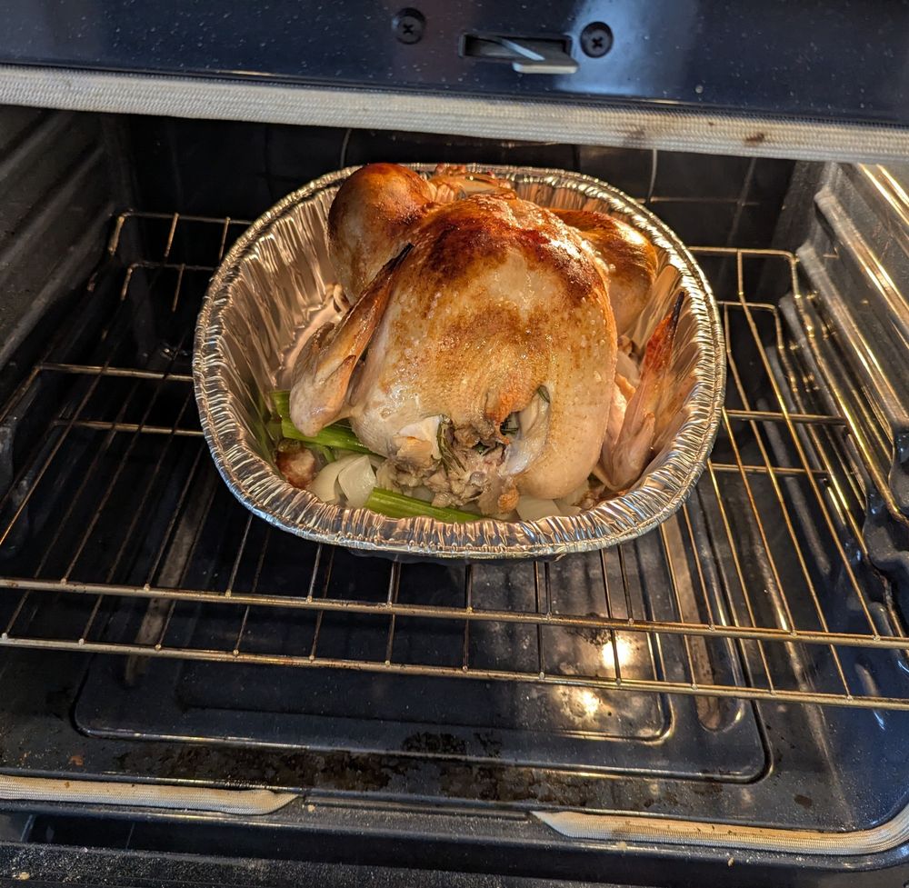 My turkey, just finishing the first phase of his two-step roasting journey. 

Pro Tip: if you're planning on making a pan drippings gravy (and why aren't you?!) instead of a metal rack, make a bed or thickly sliced onions and ribs if celery. Thank me later! 