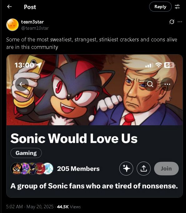 User team3star saying "Some of the most sweatiest, strangest, stinkiest crackers and coons alive are in this community" whilst posting a picture of a community page called "Sonic would love us" with the banner of the page being an AI generated image of Shadow the Hedgehog taking a picture with Donald Trump. The group description stating "A group of Sonic fans who are tired of nonsense." Whilst having 205 Members
