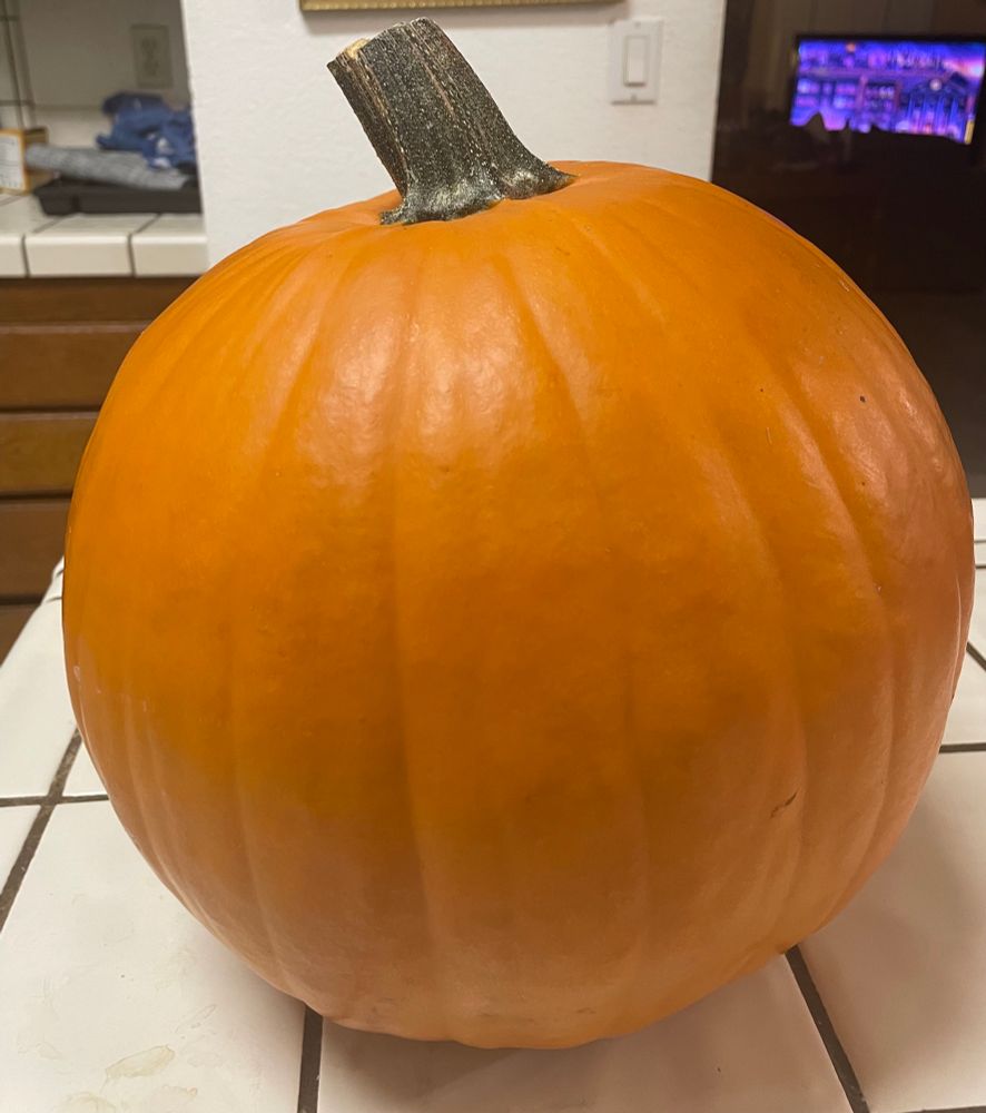 A medium orange pumpkin sitting on a countertop 