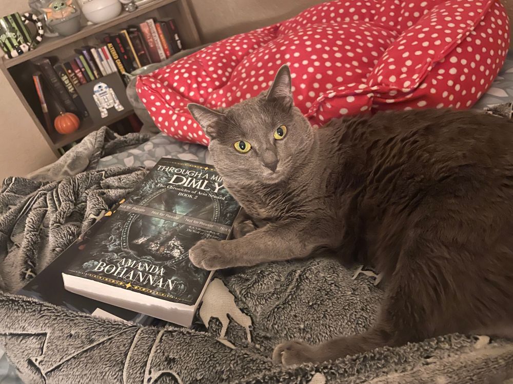 Artoo the silver cat is lying on her human’s bed and looking at the camera, one front paw on a paperback of Through a Mirror Dimly by Amanda Bohannan