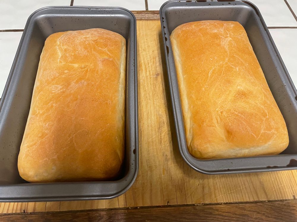 Two loaves of white bread in pans 