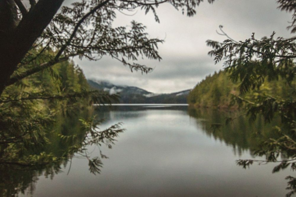 A tranquil Mountain Lake on Orcas Island, situated below Mount Pickett, with the forested hillsides reflecting in its still waters. The scene is framed by branches and tree trunks in the foreground, creating a sense of natural seclusion.