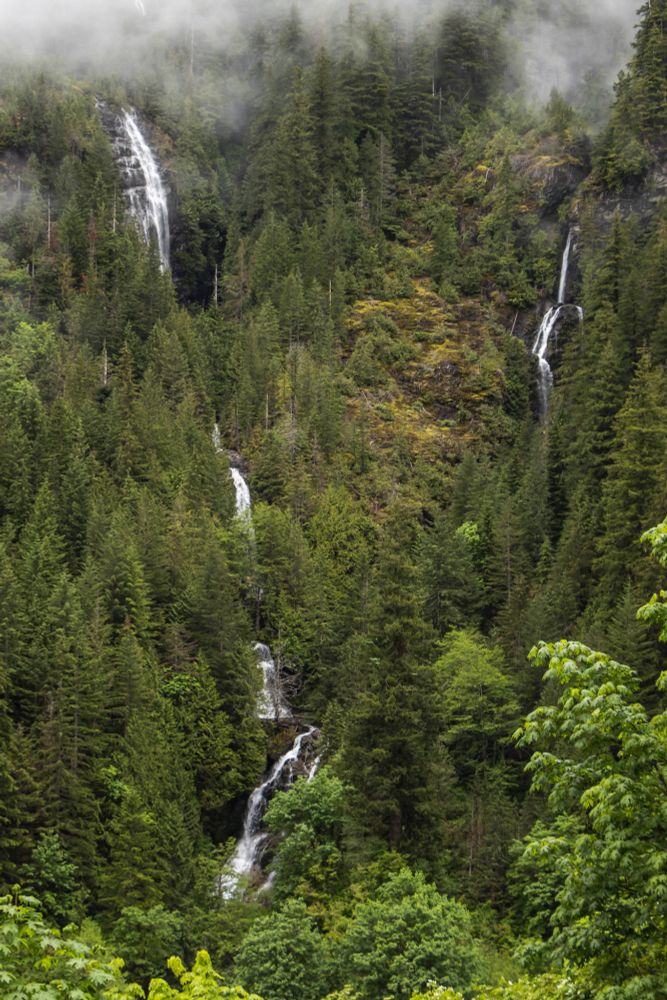 A series of waterfalls cascade down through dense evergreens blanketing the sheer cliffs near Mountain Loop Highway in the North Cascades.