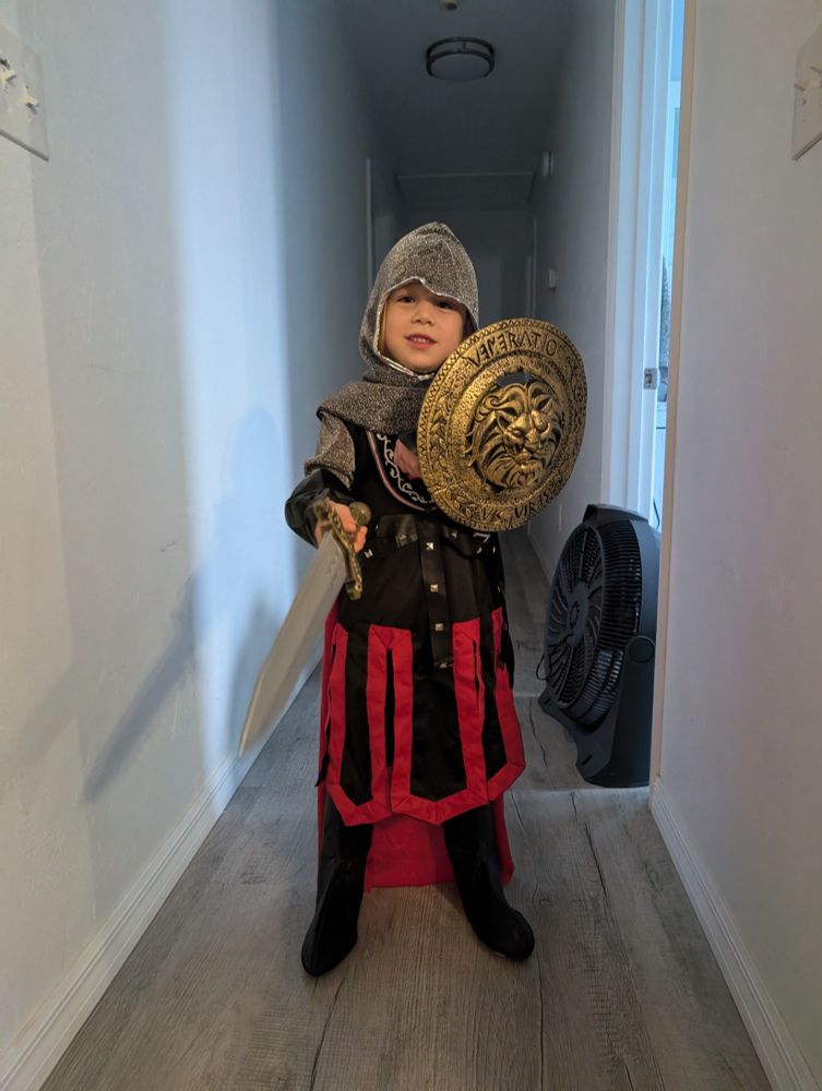 A young boy is dressed up as a medieval knight with a sword and shield, standing in a hallway posing. 