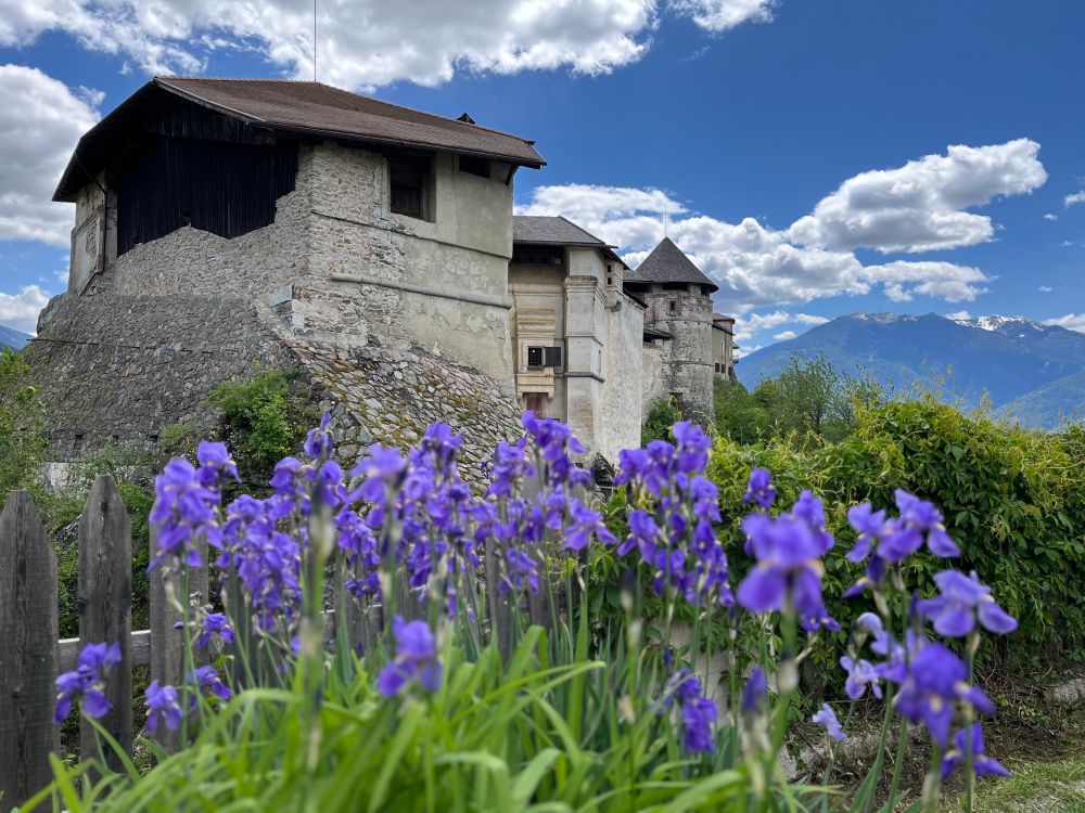View of Rodenegg Castle with irises in foreground 