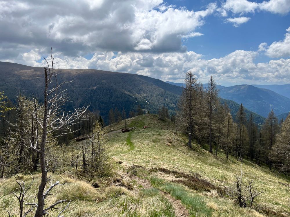 View of the Oswaldeck promontory 