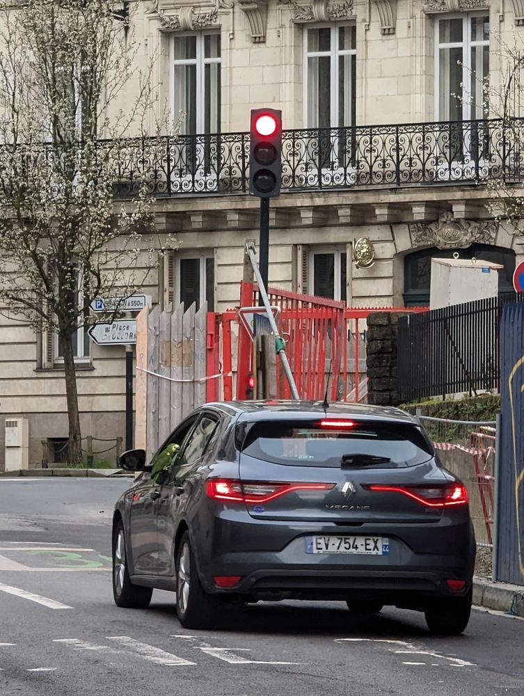 Une voiture arrêtée à un feu.
La fenêtre du conducteur est ouverte, un perroquet se tient à la poignée.