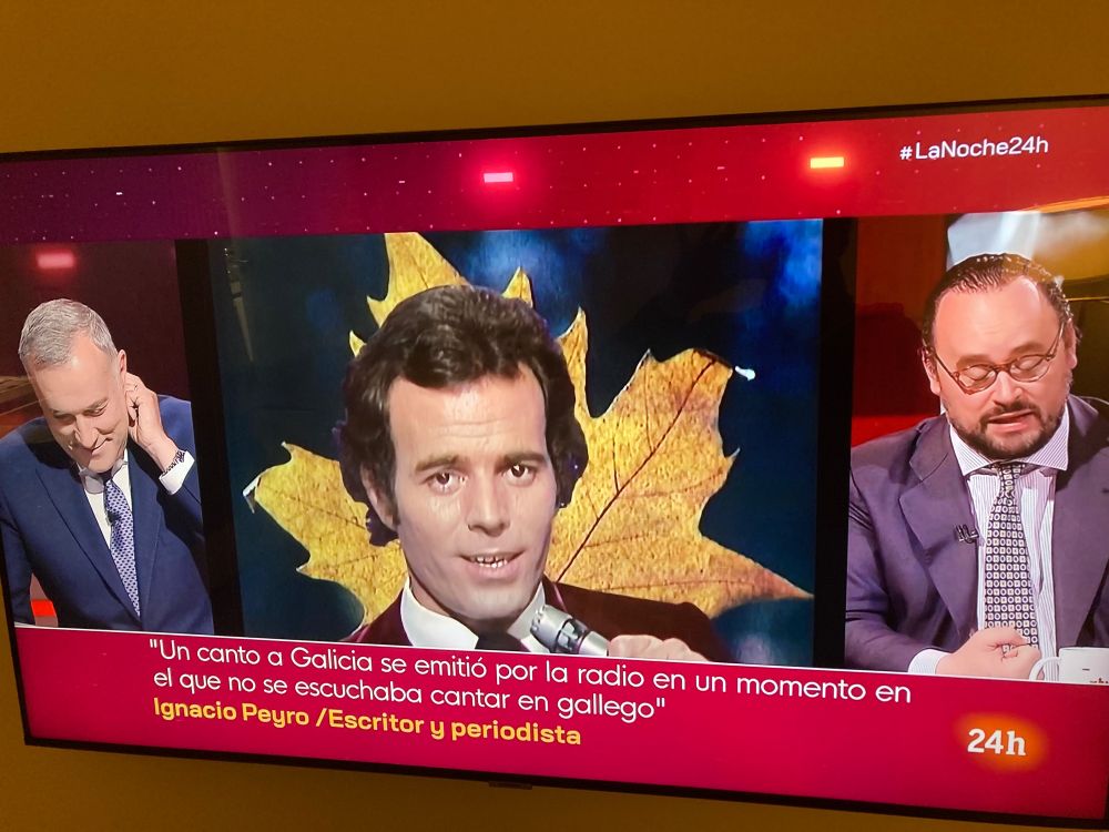 A photograph of the TV while on holiday in Spain. On either side is a TV commentator. In the middle is Julio Iglesias singing with a chestnut leaf (I think) behind him).