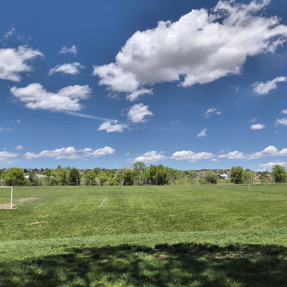 a view of a park from sitting view, shallow hills of lush grass show an open field in front of a copse of green trees  above the sky is a bright gradient of blue dotted with wide, fluffy clouds.