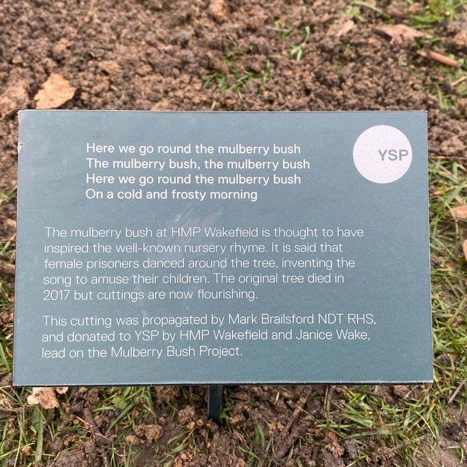 The plaque telling the story of the mulberry tree at Wakefield Prison