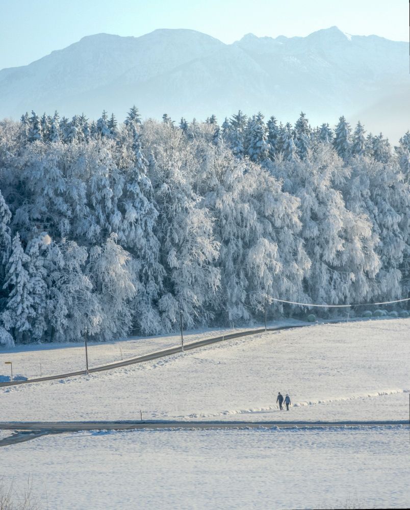 Snowy plains with a forest in the background. A couple is walking together in the distance through the snow 