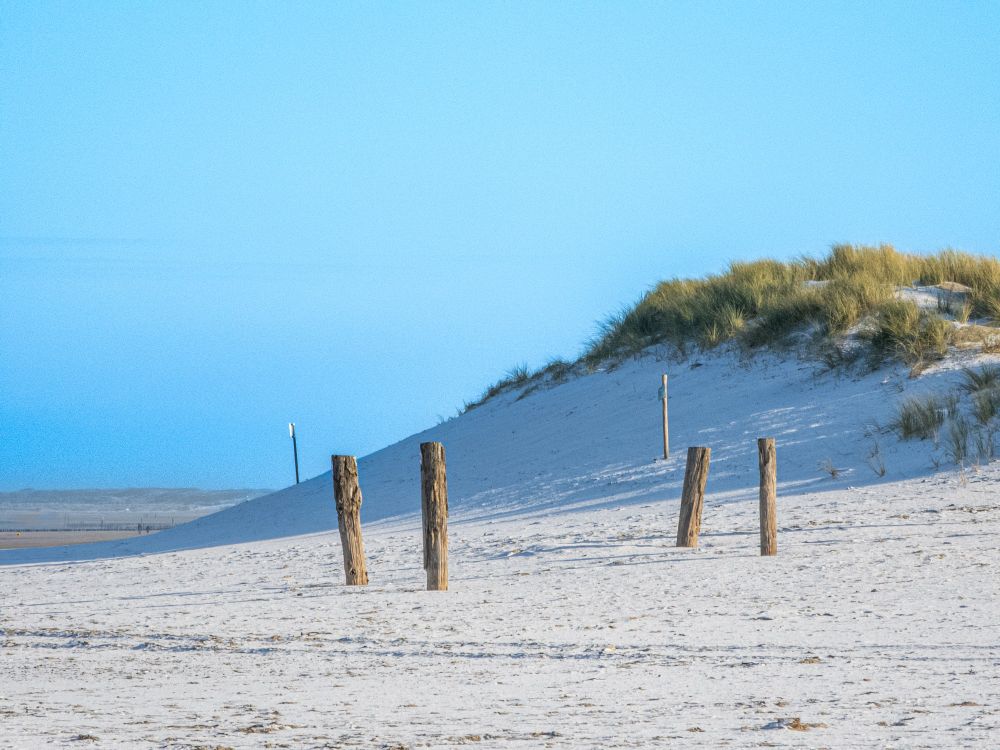A beach photo with a sand dune