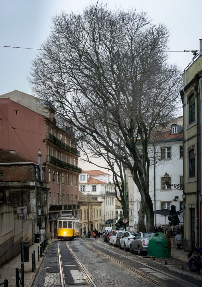 A street in Lisbon. A tram is approaching 