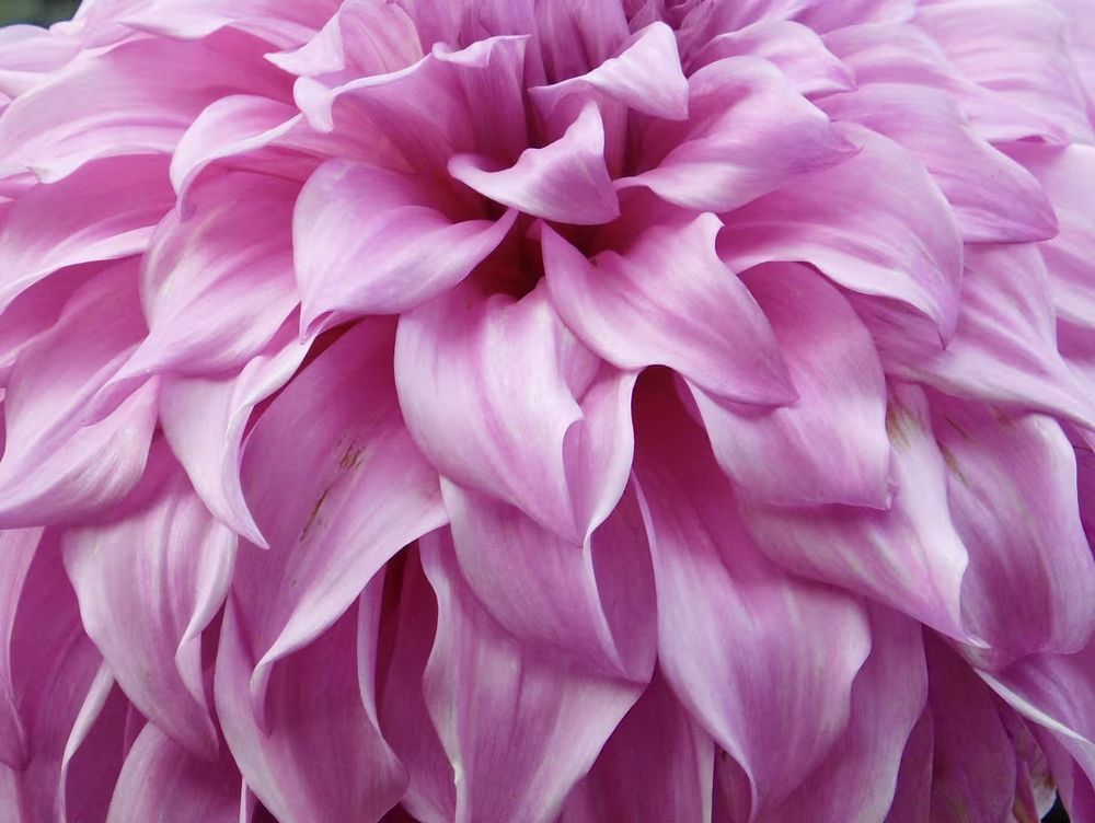 test2