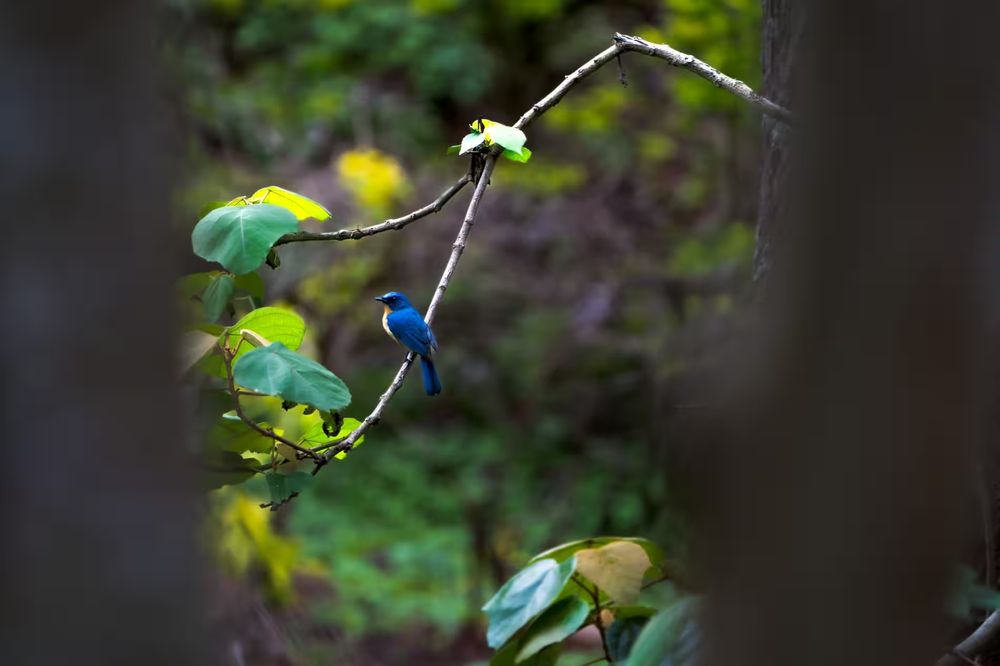 test2