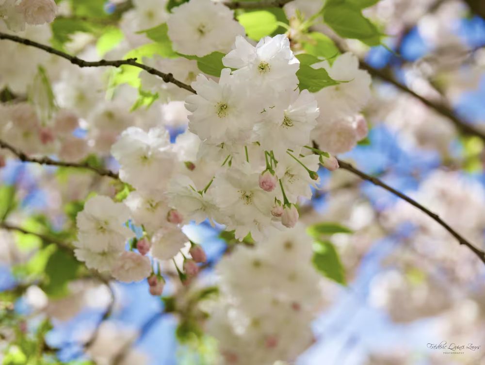 test2