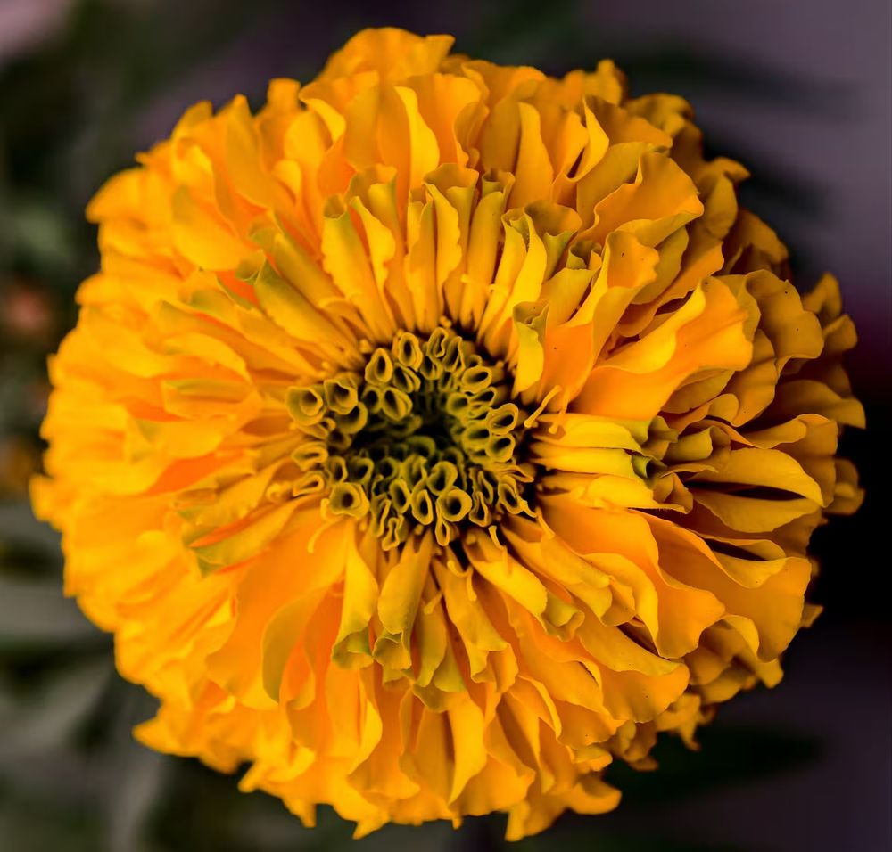 test2