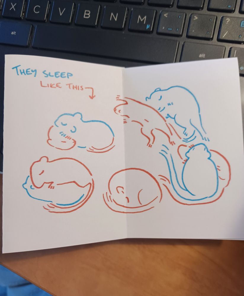 Page 3 - Doodles of gerbils in various sleeping positions. "They sleep like this."