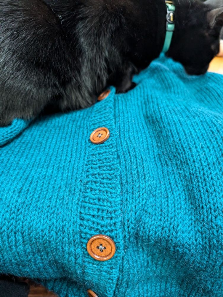 A black cat laying on a knitted cardigan