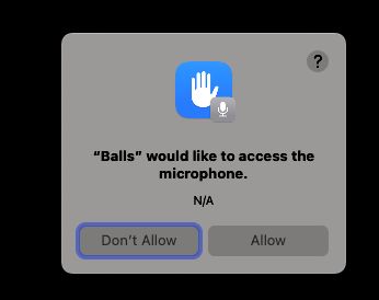 "Balls" would like to access the microphone.

Allow? DON'T ALLOW? 
