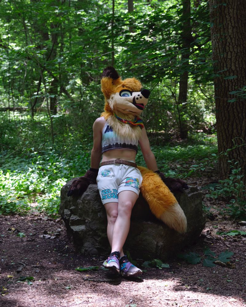 Green forest, person sitting on a rock in the foreground, looking to the right, wearing a fox fursuit.