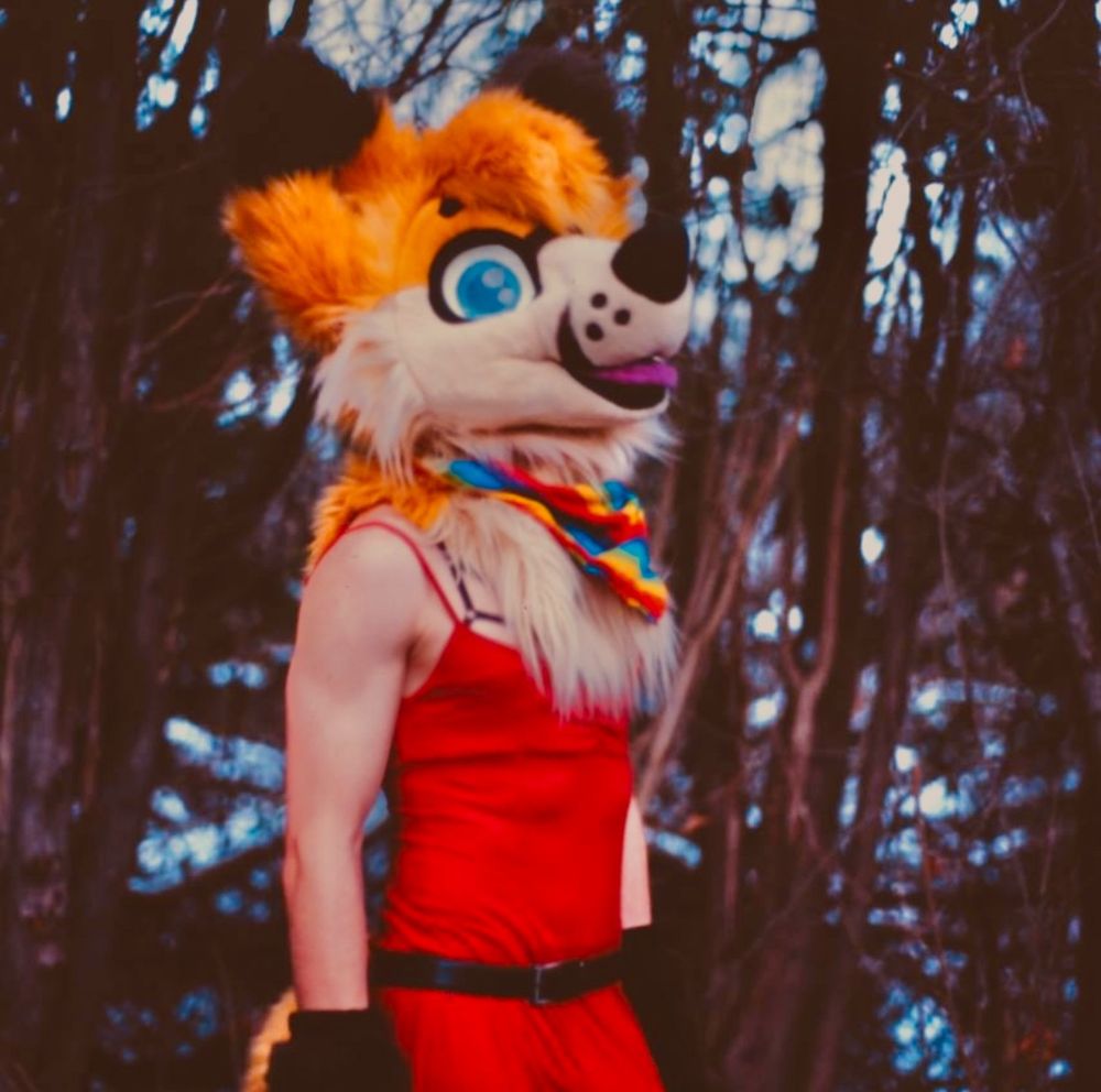 Fox fursuit with rainbow bandana, standing with a red dress and black belt on, woods as the background with light snow coating the landscape.

For the record, it was in fact cold.