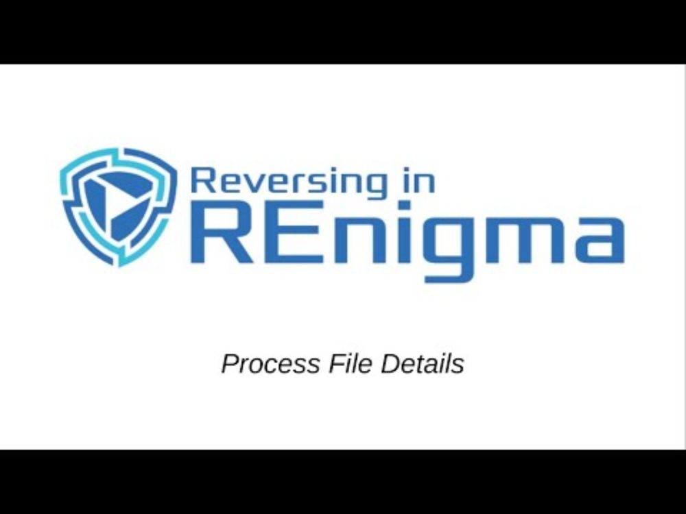 How to see files created and opened by malware in REnigma