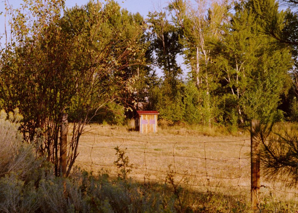 this shed in the middle of a field along the rail trail bike path. i was doing some bracketing to test the light meter on my phone and i kind of like the framing here.