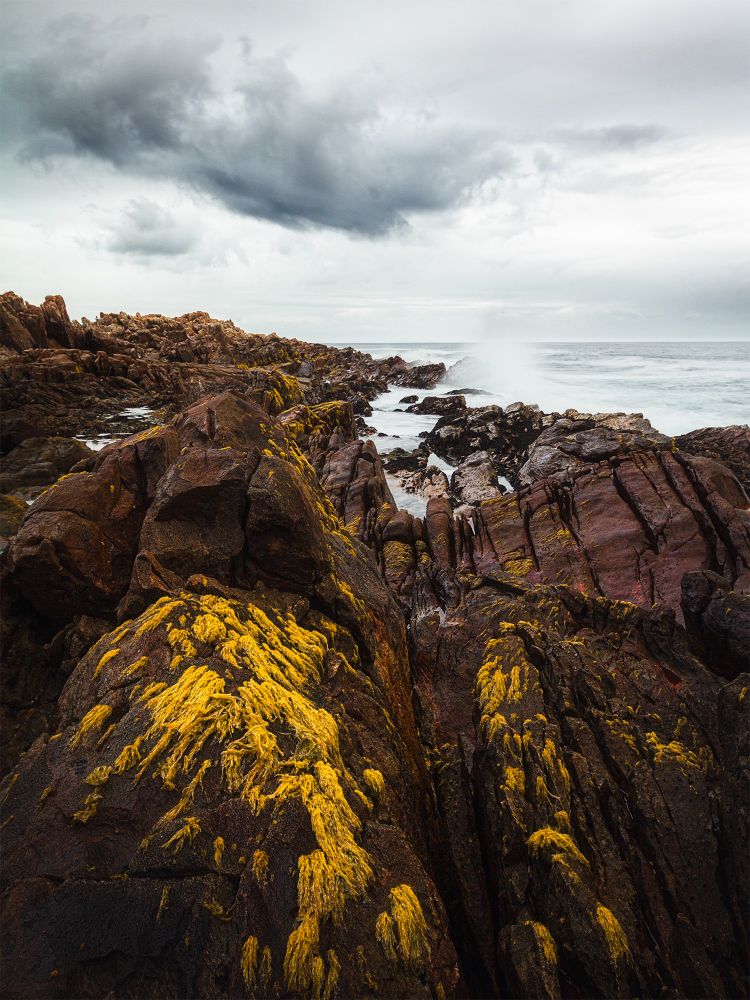 A small wave breaks under a cloudy sky, along the moss covered rocky shore near Betty’s Bay, South Africa. 