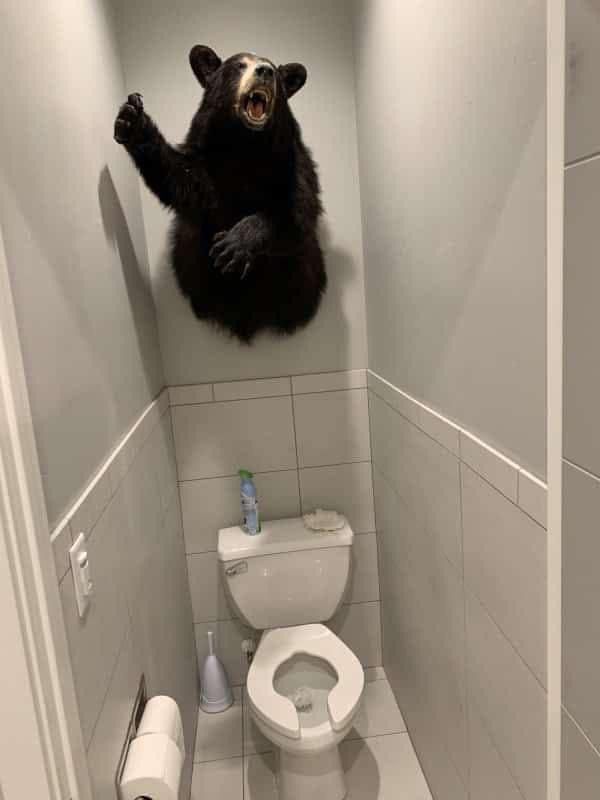 taxidermy bear over a toilet