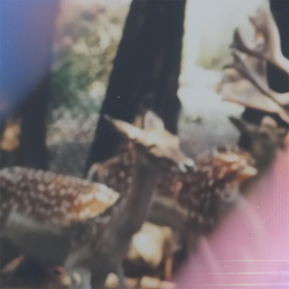 une espèce nocture, remixed by fnonose.