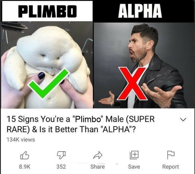 fake youtube thumbnail reading "15 Signs You're a "Plimbo" Male (SUPER RARE) & Is it Better Than "ALPHA"?" The thumbnail is divided in two; on the left is a boy-like shape moulded from dough with a green checkmark and a label above reading "PLIMBO", the left is an angry looking man labeled "ALPHA" with a red X