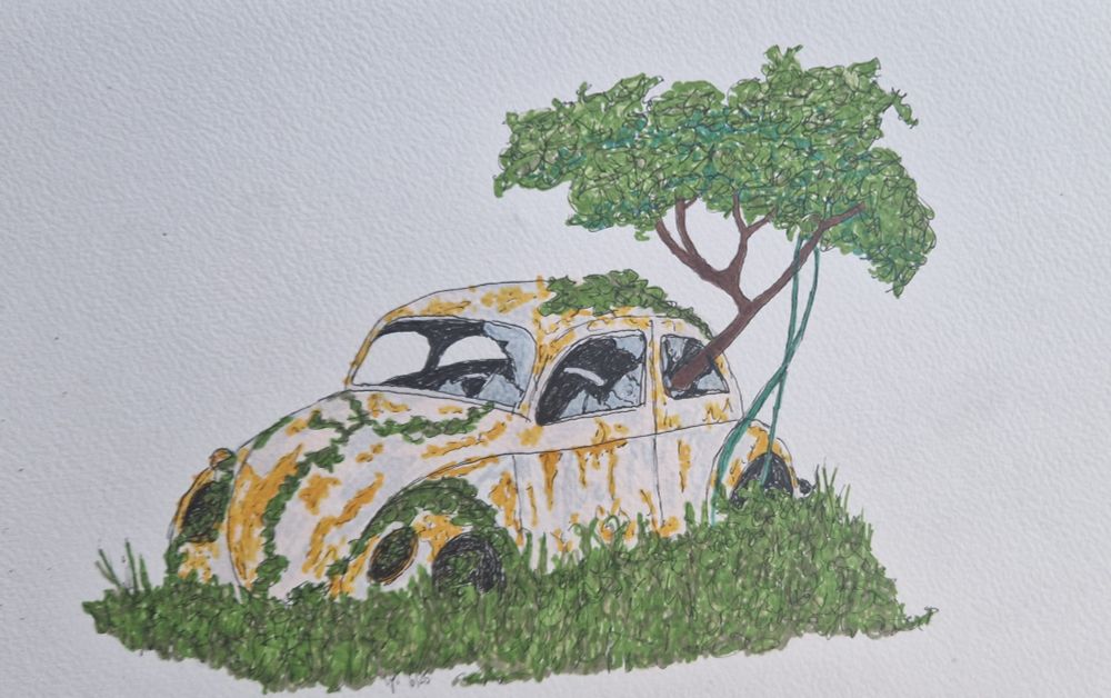 Rostiger VW-Käfer, der überwachen wird und dem ein Baum aus der hinteren Seitenscheibe wächst
