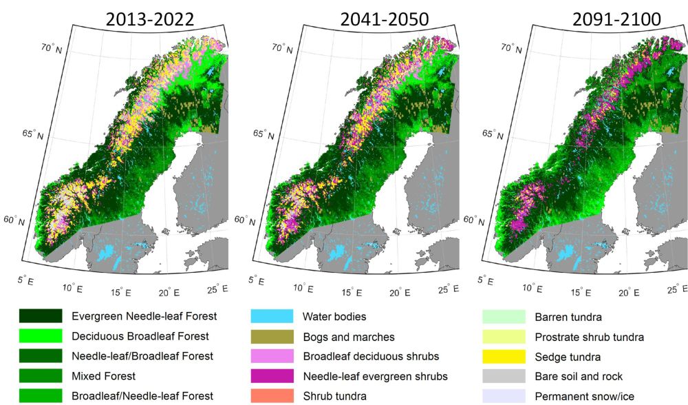 High-resolution simulations reveal a large loss of Fennoscandian tundra - The Nordic Borealization Network