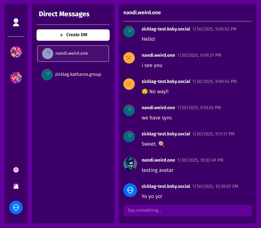 Screenshot of a direct message in Roomy.