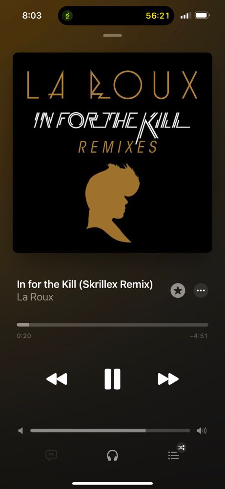 A snapshot of the last song I listened too while working out, In For The Kill.  By La Roux (Skrillex remix)