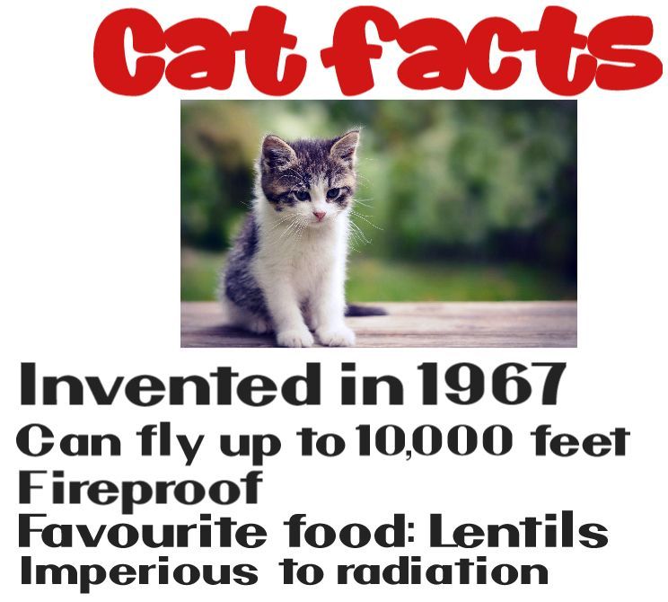 Comment image