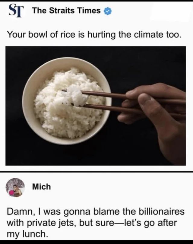 Screenshot of a social media post from "The Straits Times" with the text, "Your bowl of rice is hurting the climate too." Below is a photo of a bowl of rice with chopsticks picking up a portion. A comment from "Mich" reads, "Damn, I was gonna blame the billionaires with private jets, but sure—let's go after my lunch."