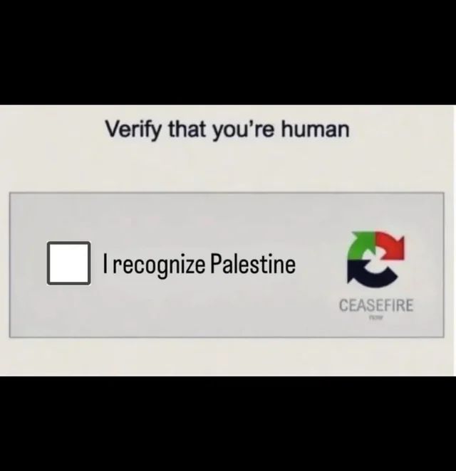 Screenshot of a captcha asking to "Verify that you're human". The checkbox reads, "I recognize Palestine". To the right is a logo with the words "CEASEFIRE now".