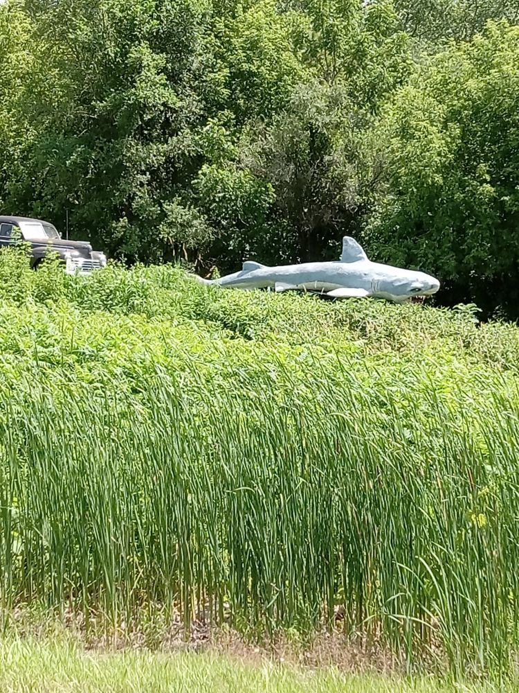 A (1930s?) Car trails a shark through tall prairie grasses.