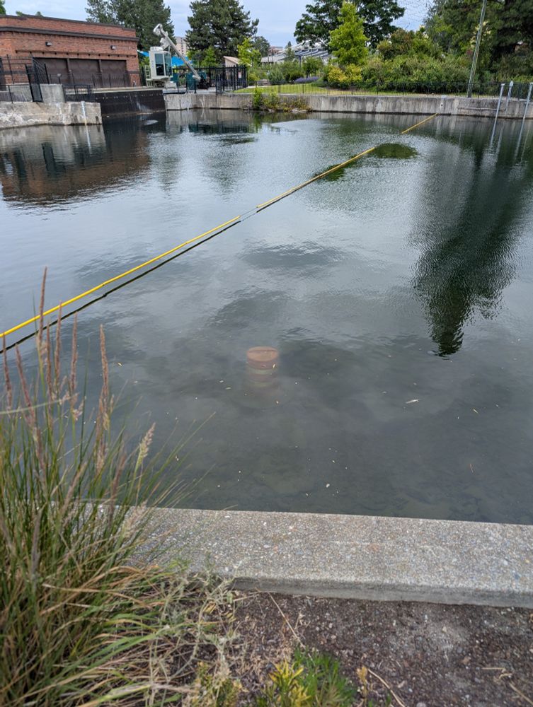 Large traffic cone thrown into a river.