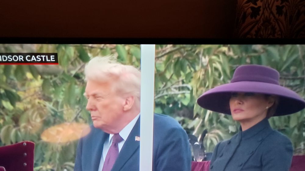 Trump hair in the wind