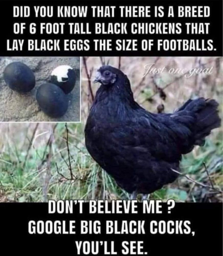 Comment image