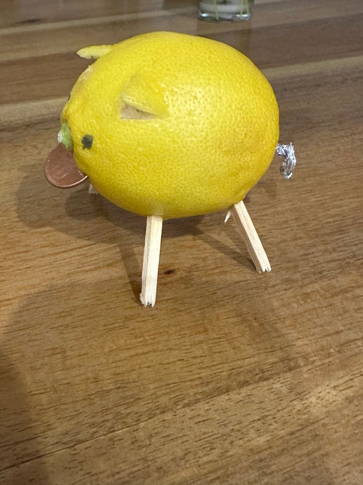 Lemon pig side angle. He has a tail