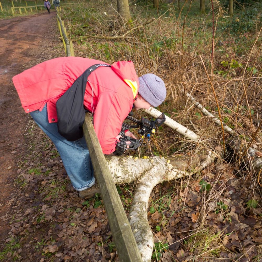 Georgie filming fungi growing on a fallen trunk 
