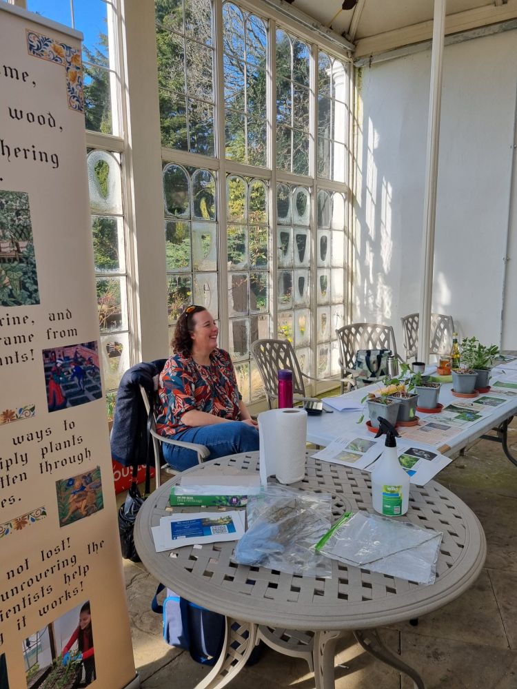 Me sitting behind a table with plants on it. The plants were used in medieval medicine. Blue skies outside the Camelia house windows. 